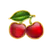 Wiśnia